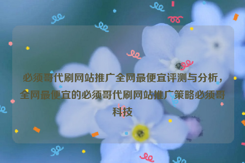 必须哥代刷网站推广全网最便宜评测与分析，全网最便宜的必须哥代刷网站推广策略必须哥科技