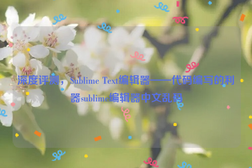 深度评测，Sublime Text编辑器——代码编写的利器sublime编辑器中文乱码