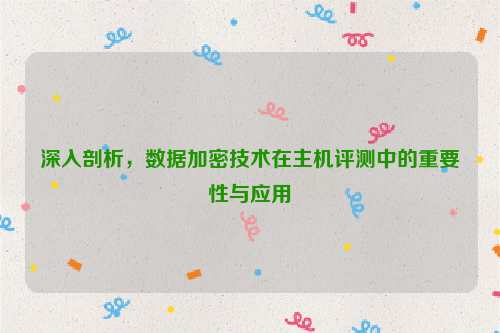 深入剖析，数据加密技术在主机评测中的重要性与应用