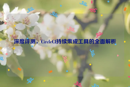 深度评测，CircleCI持续集成工具的全面解析