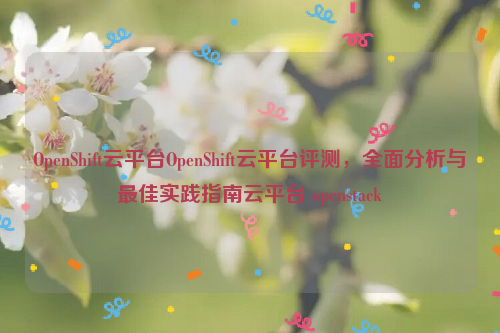 OpenShift云平台OpenShift云平台评测，全面分析与最佳实践指南云平台 openstack