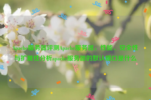 Apache服务器评测Apache服务器，性能、安全性与扩展性分析apache服务器的默认端口是什么