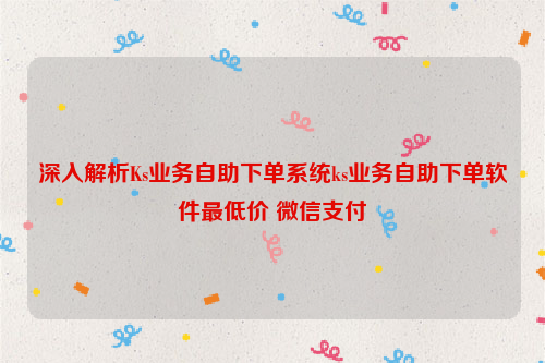 深入解析Ks业务自助下单系统ks业务自助下单软件最低价 微信支付