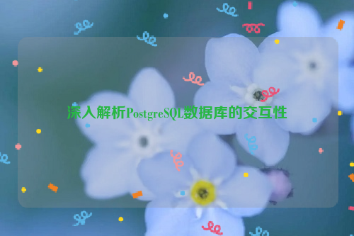 深入解析PostgreSQL数据库的交互性