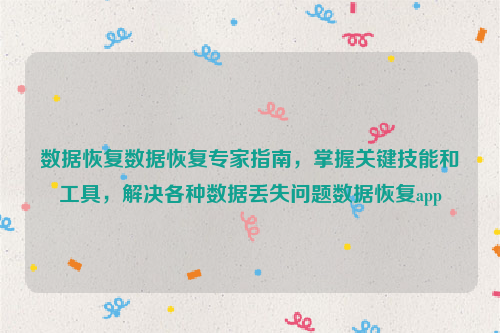 数据恢复数据恢复专家指南，掌握关键技能和工具，解决各种数据丢失问题数据恢复app