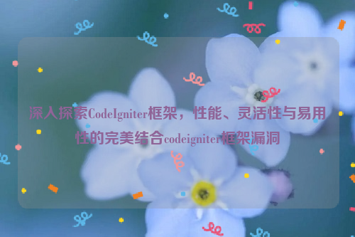 深入探索CodeIgniter框架，性能、灵活性与易用性的完美结合codeigniter框架漏洞