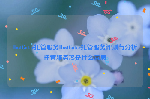 HostGator托管服务HostGator托管服务评测与分析托管服务器是什么意思