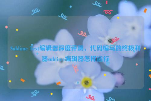 Sublime Text编辑器深度评测，代码编写的终极利器sublime编辑器怎样运行