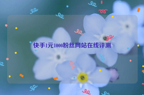 快手1元1000粉丝网站在线评测