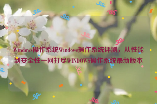 Windows操作系统Windows操作系统评测，从性能到安全性一网打尽WINDOWS操作系统最新版本