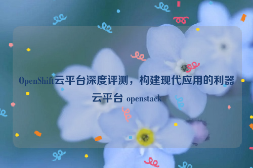 OpenShift云平台深度评测，构建现代应用的利器云平台 openstack