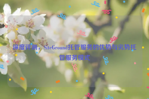 深度评测，SiteGround托管服务的优势与劣势托管服务模式