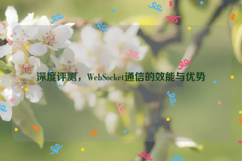 深度评测，WebSocket通信的效能与优势