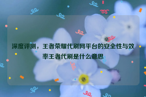 深度评测，王者荣耀代刷网平台的安全性与效率王者代刷是什么意思