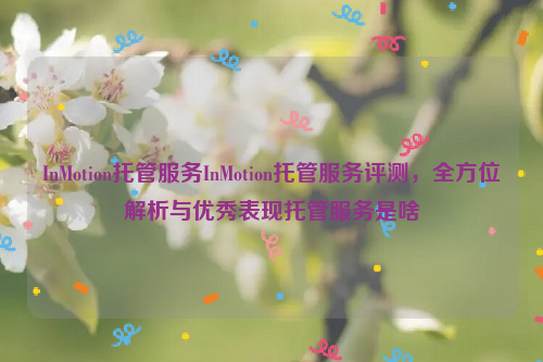 InMotion托管服务InMotion托管服务评测，全方位解析与优秀表现托管服务是啥