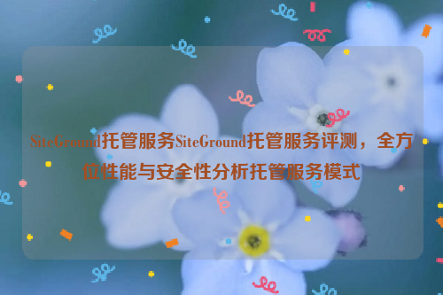 SiteGround托管服务SiteGround托管服务评测，全方位性能与安全性分析托管服务模式