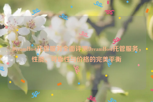 DreamHost托管服务全面评测DreamHost托管服务，性能、可靠性与价格的完美平衡