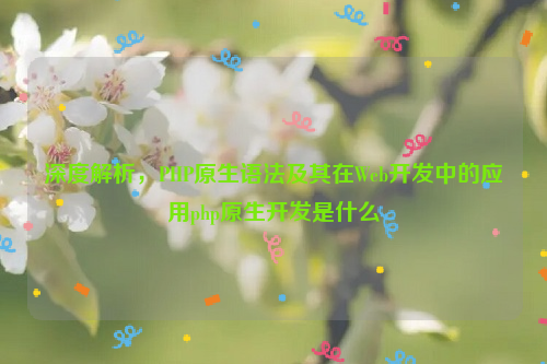 深度解析，PHP原生语法及其在Web开发中的应用php原生开发是什么