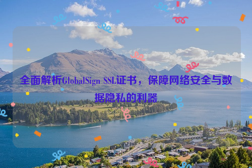 全面解析GlobalSign SSL证书，保障网络安全与数据隐私的利器