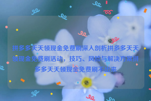 拼多多天天领现金免费刷深入剖析拼多多天天领现金免费刷活动，技巧、风险与解决方案拼多多天天领现金免费刷不出来