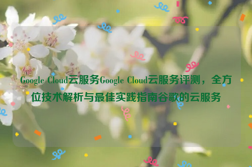 Google Cloud云服务Google Cloud云服务评测，全方位技术解析与最佳实践指南谷歌的云服务