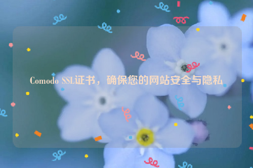 Comodo SSL证书，确保您的网站安全与隐私