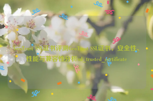 GeoTrust SSL证书评测GeoTrust SSL证书，安全性、性能与兼容性分析ssl_trusted_certificate