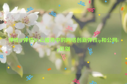 弹性IP弹性IP:云服务中的网络创新弹性ip和公网ip区别