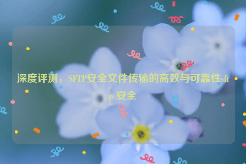 深度评测，SFTP安全文件传输的高效与可靠性sftp 安全